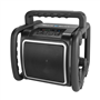 werkspeaker perfectpro-2
