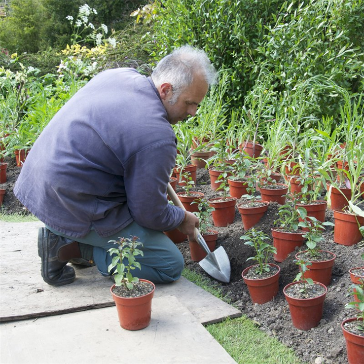 plantschopje gesmeed rvs sneeboer