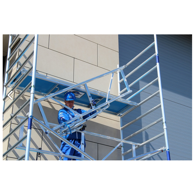 voorloopleuning aluminium asc