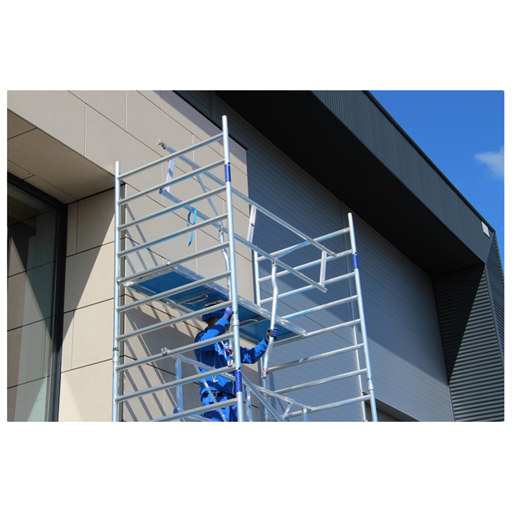 voorloopleuning aluminium asc
