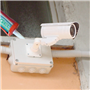 wondergel raytech-4