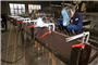 lijmtang snelspan bessey-4