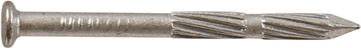 regelnagels elvz kelfort