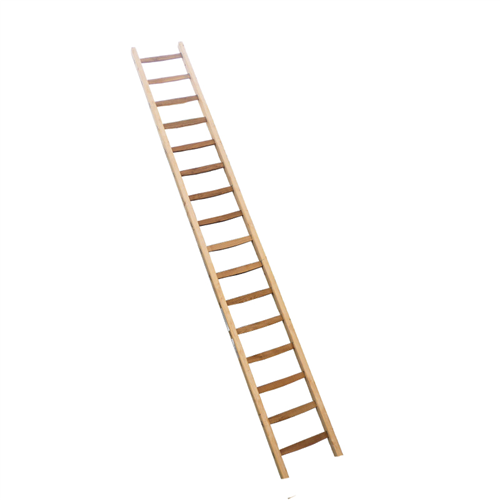 Ladder Enkel Hout - 1X 12 TREDEN / RECHT