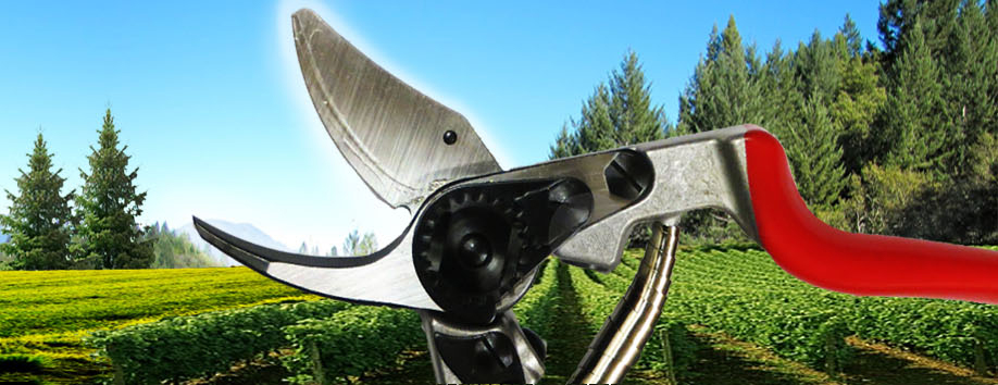 Felco