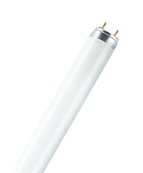 Tl-Lamp  900Mm Osram - TL-D G13 / 30W / 2400Lm Tl-Lamp  900Mm Osram - TL-D G13 / 30W / 2400Lm
