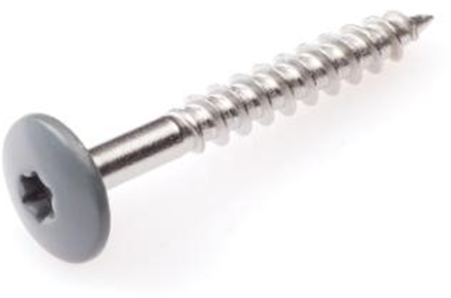 Kleurkopschroef Rvs - 4.8X 25MM T20 GRIJS RAL7037 Kleurkopschroef Rvs - 4.8X 25MM T20 GRIJS RAL7037