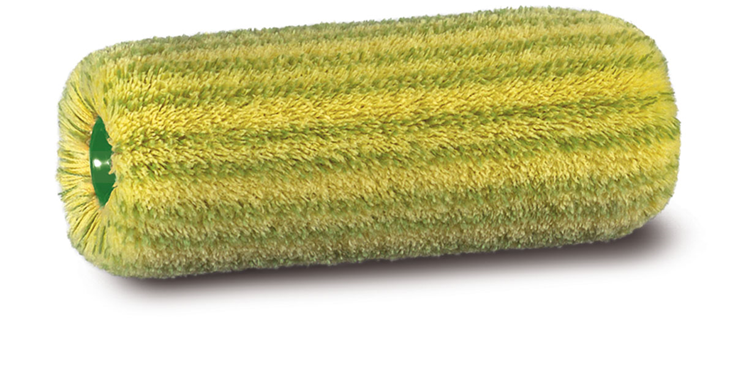 muurverfrol groene streep goudhaantje muurverfrol groene streep goudhaantje