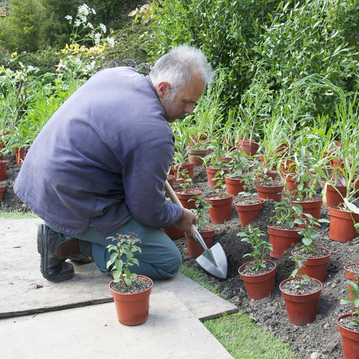 plantschopje gesmeed rvs sneeboer plantschopje gesmeed rvs sneeboer