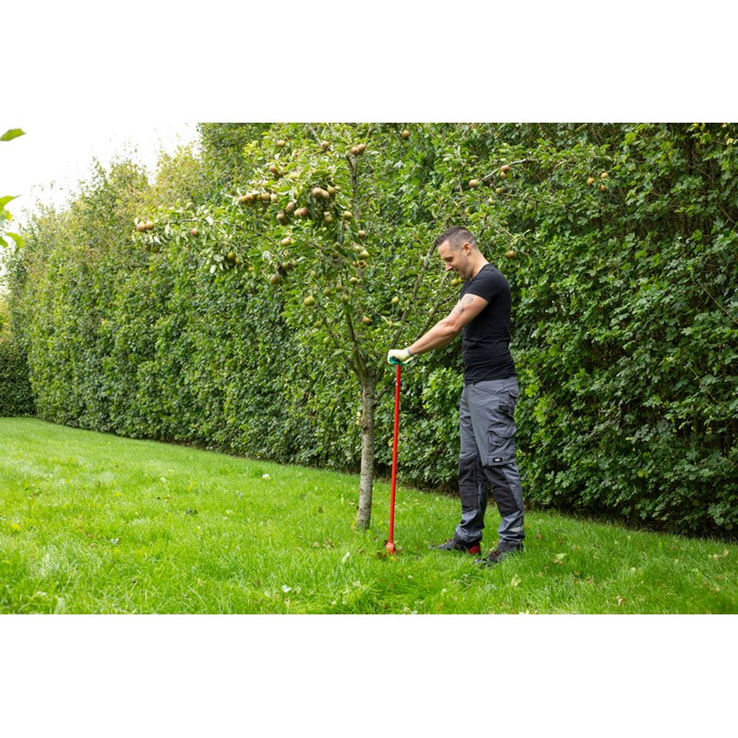 palenboor kelfort palenboor kelfort