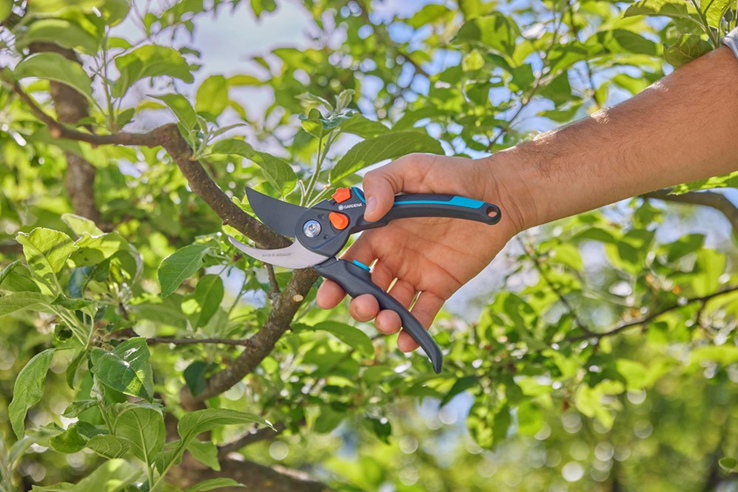 snoeischaar gardena snoeischaar gardena