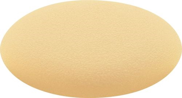 afdekkap rond lichtbruin festool afdekkap rond lichtbruin festool