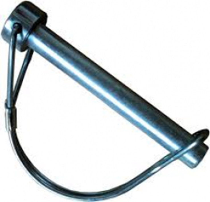 borgclip asc borgclip asc