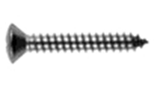 Spaanplaatschroef Rvs A2 - 3.0X 20MM LK PZ1 Spaanplaatschroef Rvs A2 - 3.0X 20MM LK PZ1