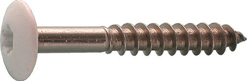 Kleurkopschroef Rvs A2 Kelfort - 4.8X 32MM T20 WIT RAL9001 Kleurkopschroef Rvs A2 Kelfort - 4.8X 32MM T20 WIT RAL9001