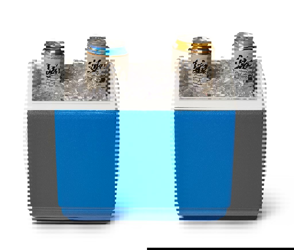 koelbox playmate igloo-13