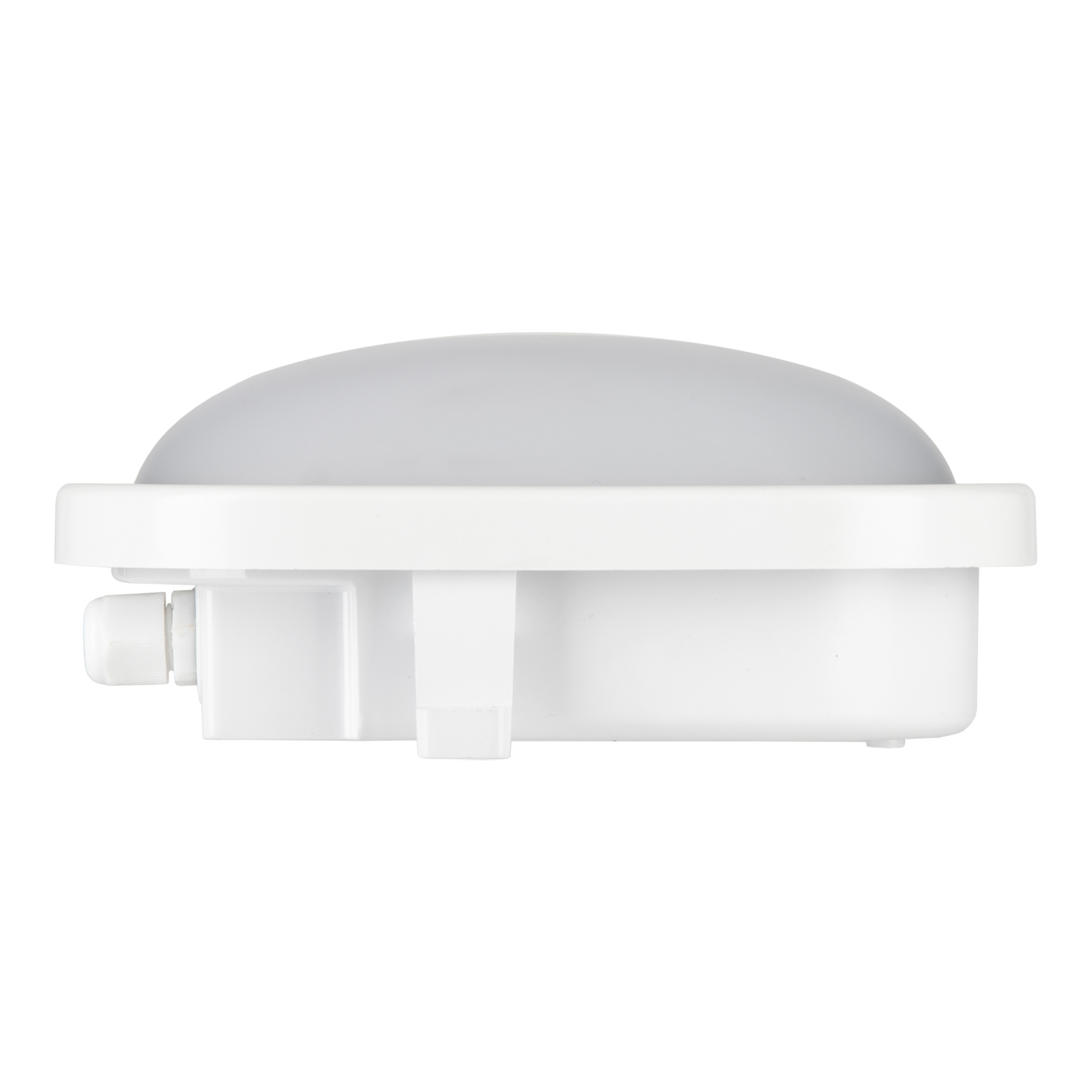 bull eye lamp led pvc wit bailey-3