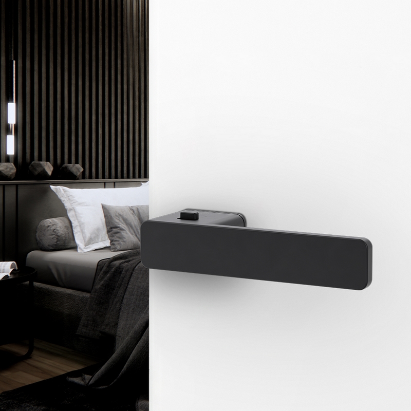 deurkrukgarnituur grafietzwart griffwerk-5