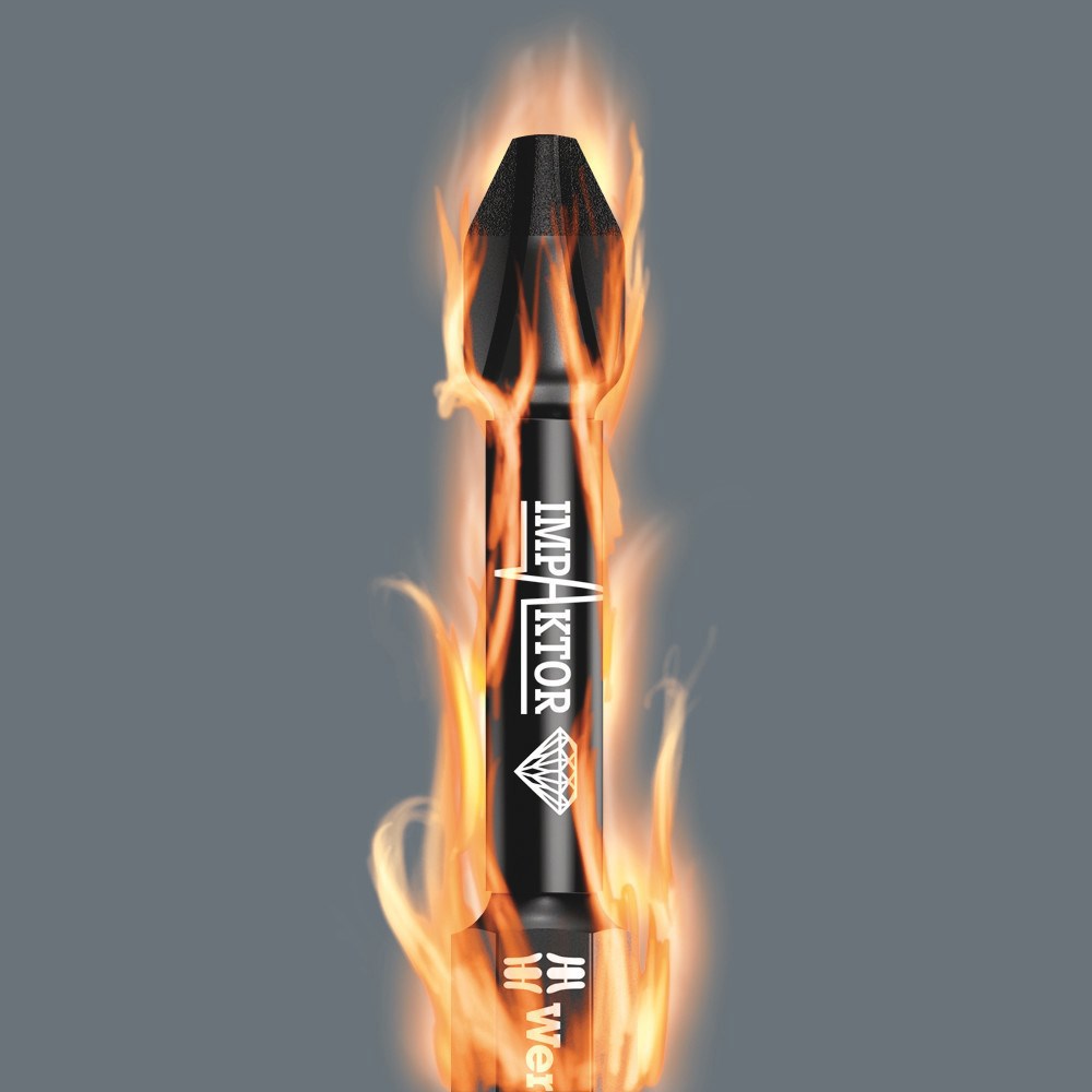 schroefbitset lang wera-6