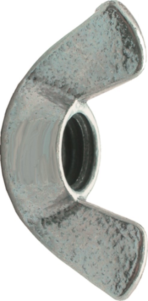 vleugelmoer elvz kelfort-3