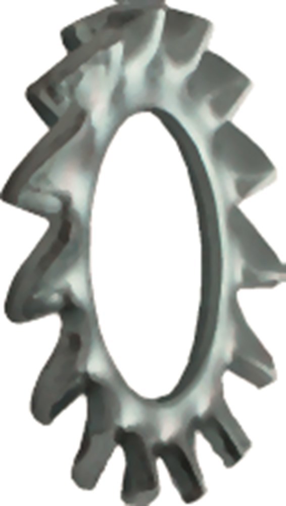 Tandveerring Elvz Kelfort - M12