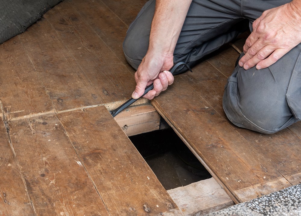 koevoetset roughneck-7