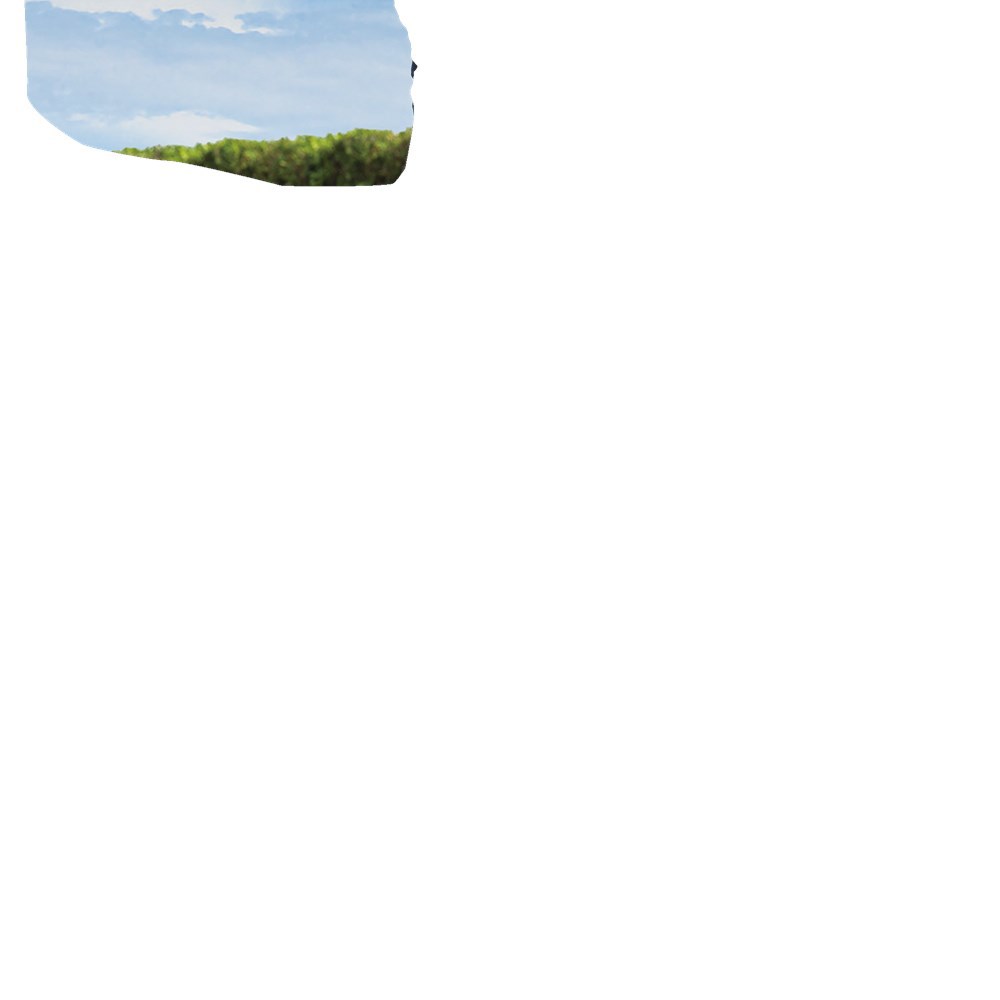 accu bladblazer/-zuiger makita-12