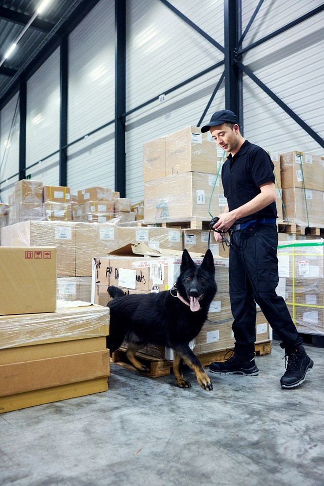 veiligheidsschoenen emma-19