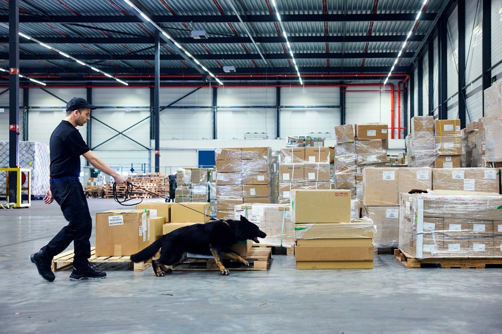 veiligheidsschoenen emma-16